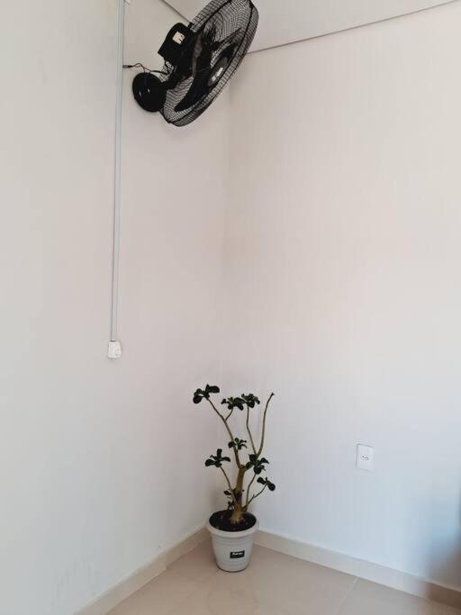 Appartement Flat Compacto E Mobiliado Proximo A Rodoviaria Aeroporto à Palmas  Extérieur photo